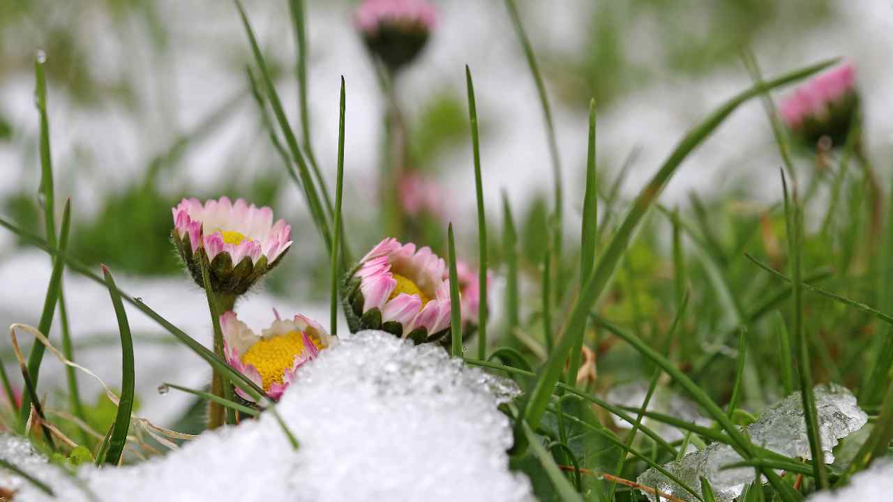 Meteo Pasqua e Pasquetta 2024