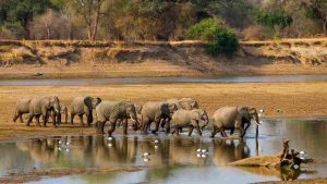 morta turista in Zambia