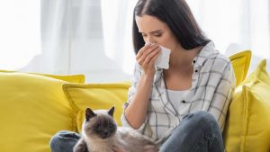 gatto con peste bubbonica contagia uomo